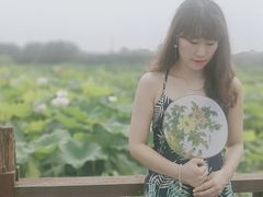 -荷塘月色湿地公园·向阳花洲
