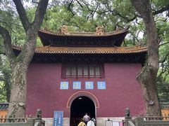 -普陀山风景名胜区-法雨禅寺