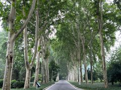-河南省黄河迎宾馆