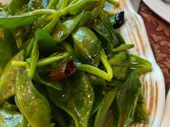 凉拌穿心莲-小白桦西餐厅