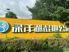 -渌洋湖湿地公园