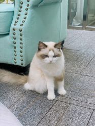 -元一肌肤管理中心