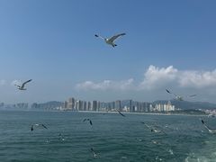 -刘公岛景区