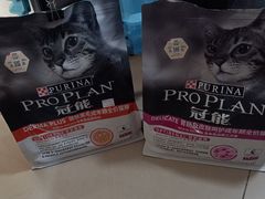 -北京观赏动物医院·24小时大型综合·猫专科·异宠专科