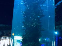 -青岛嘉年华主题乐园