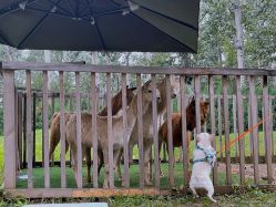 -禧园Joyous Garden ·宴会厅(禧园店)