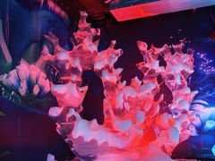 -海合安武汉极地海洋公园