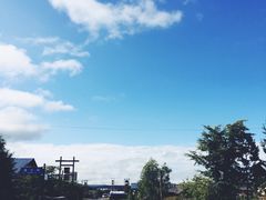 -北极村旅游风景区