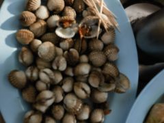 -东海岸人工湖美食村