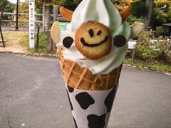 -神户市立六甲山牧场