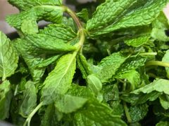 -熊氏牛羊杂粉(龙眼井总店)