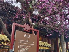 -西安市广仁寺