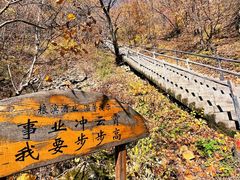 -茅兰沟国家森林公园