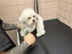 -FAELING PETS美天灵宠物(富力广场店)