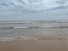 -日照海滨国家森林公园