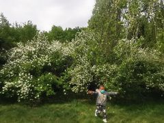 -长春公园(普阳街道)