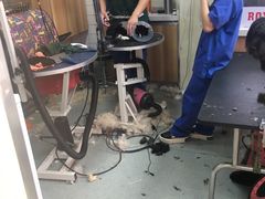 -康乐宝动物医院