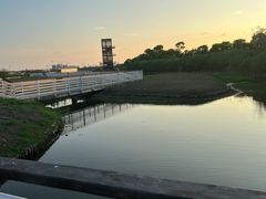 -春花秋色城市公园