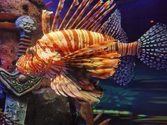 -沈阳海洋探索中心