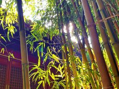 -潭柘寺景区