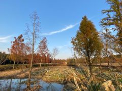 -同里国家湿地公园
