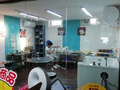 -派多格宠物·购宠(靛厂路店)