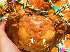 -蟹天蟹地农家菜·阳澄湖大闸蟹(浅水湾店)