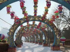 景点-沈阳奥体冰雪嘉年华