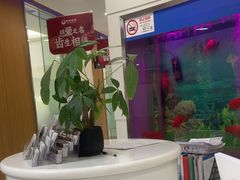 -雅悦齿科(顾村公园店)