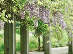 -贵州省植物园