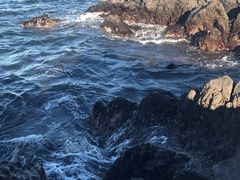-龙头岩(Dragon Head Rock)