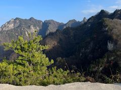 -太平万花山景区