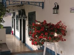 -寻味·后院花语