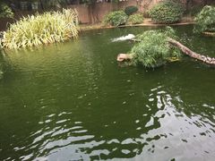 -九龙公园