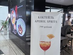 -谢列梅捷沃国际机场