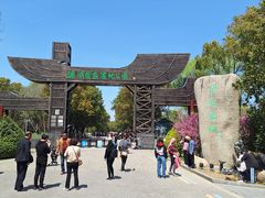 -溱湖国家湿地公园