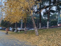 -两江幸福广场