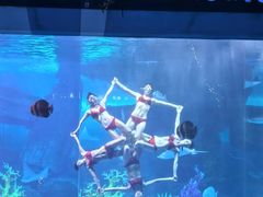 -泉城欧乐堡海洋极地世界