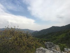 -北京鹫峰国家森林公园