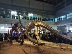 -自贡恐龙博物馆