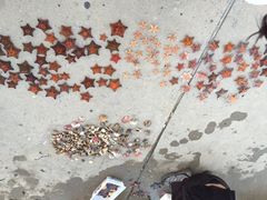 第三海水浴场-青岛第三海水浴场