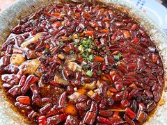 -青城甲(青城山店)