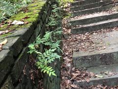 -午潮山国家森林公园