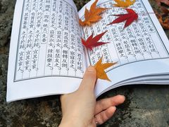 -南京东郊国宾馆