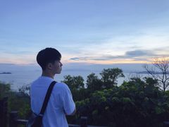 -广东惠东海龟国家级自然保护区