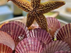 -悦海·家宴·冰花皮皮虾大锅贴(宝龙店)