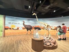 -新加坡飞禽公园