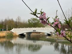 -朝阳公园