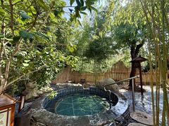 -观唐（国际）度假村温泉