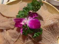 -小龙坎火锅(全球旗舰店)